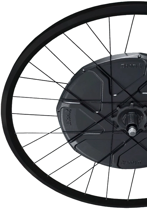 Bike Wheel